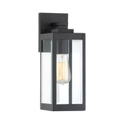 Westover 1-Light Outdoor Lantern in Earth Black