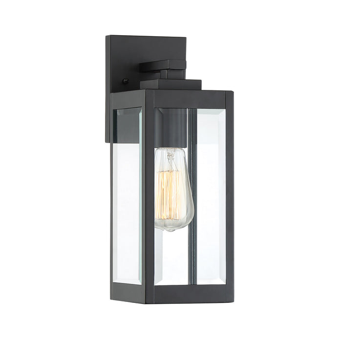 Westover 1-Light Outdoor Lantern in Earth Black