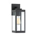 Westover 1-Light Outdoor Lantern in Earth Black