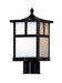 Coldwater 1-Light Outdoor Pole/Post Lantern in Black