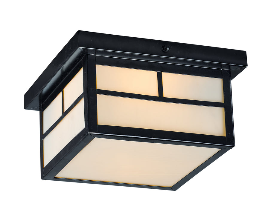 Coldwater 2-Light Outdoor Ceiling Mount in Black