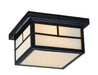 Coldwater 2-Light Outdoor Ceiling Mount in Black