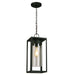 Walker Hill 1x60W Outdoor Pendant With Mattte Black Finish & Clear Glass