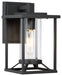 Trescott 1-Light Outdoor Wall Mount in Coal & Clear Glass - Lamps Expo