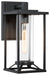 Trescott Outdoor Wall Mount in Coal & Clear Glass - Lamps Expo