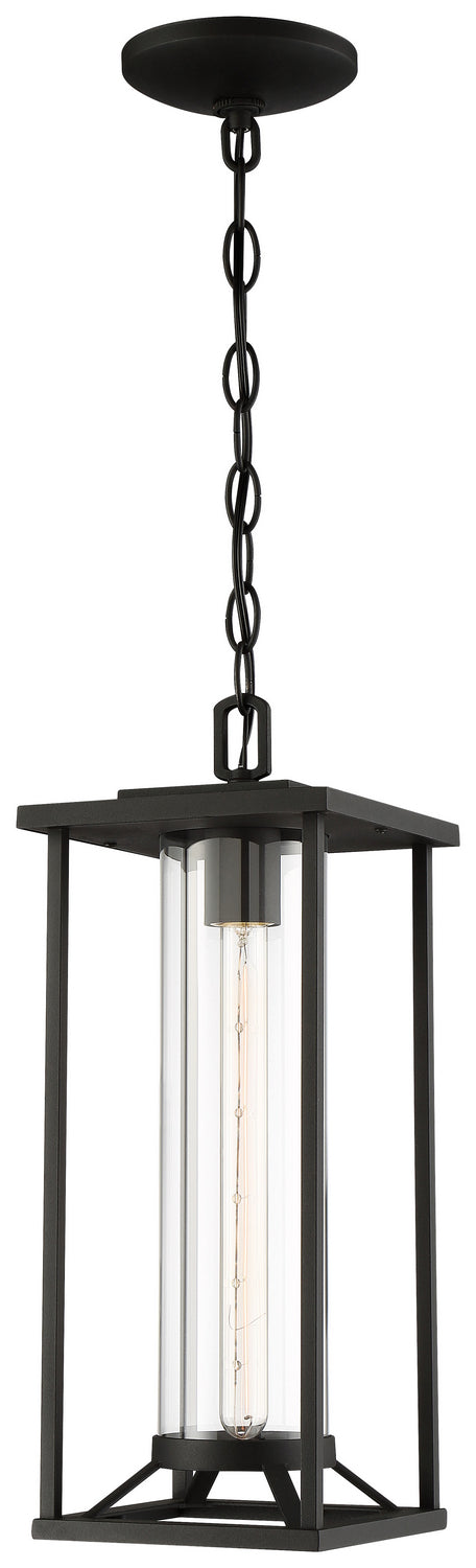 Trescott 1-Light Chain Hung Lantern in Coal & Clear Glass