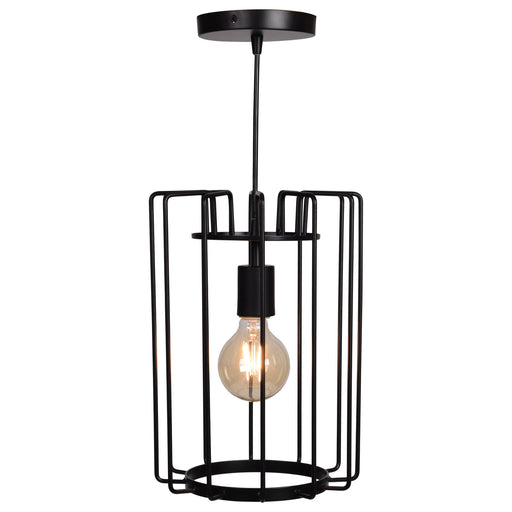 Wired 1-Light Vertical Cage Pendant in Black Finish