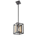 Chadwick Pendant  in Dark Bronze and Satin Brass