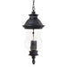 Newport 4-Light Chain Hung in Heritage & Mouth Blown Clear Optic Glass - Lamps Expo
