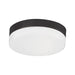 Lomita Flush Mount in Black