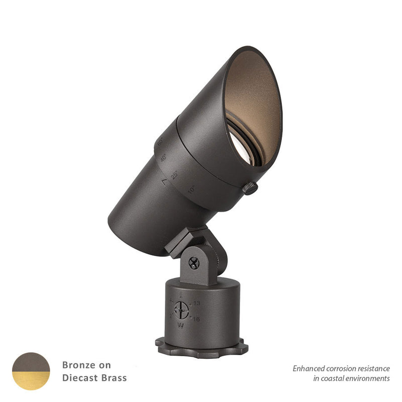 Led Accent Light in Bronzed Brass - Lamps Expo