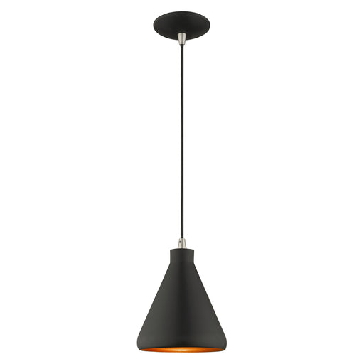 1 Light Mini Pendant in Black