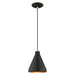 1 Light Mini Pendant in Black