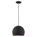 1 Light Mini Pendant in Black