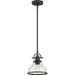 Grant 1-Light Mini Pendant in Palladian Bronze
