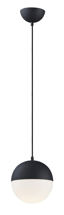 Half Moon Medium LED Pendant in Black