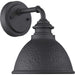 Englewood 1-Light Small Wall Lantern in Black - Lamps Expo