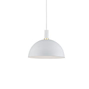 Archibald Down Pendant in Combination Finishes