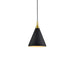 Dorothy Down Pendant in Combination Finishes