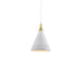Dorothy Down Pendant in Combination Finishes