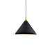 Dorothy Down Pendant in Combination Finishes