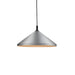 Dorothy Down Pendant in Combination Finishes