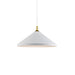 Dorothy Down Pendant in Combination Finishes