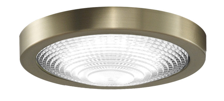 Spitfire LED Light Kit in Brushed Satin Brass