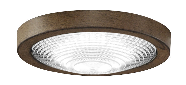 Spitfire LED Light Kit in Driftwood