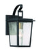 Cantebury 1-Light Outdoor Wall Mount in Coal - Lamps Expo