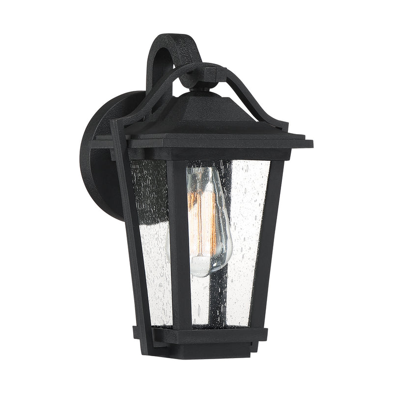 Darius 1-Light Outdoor Lantern in Earth Black