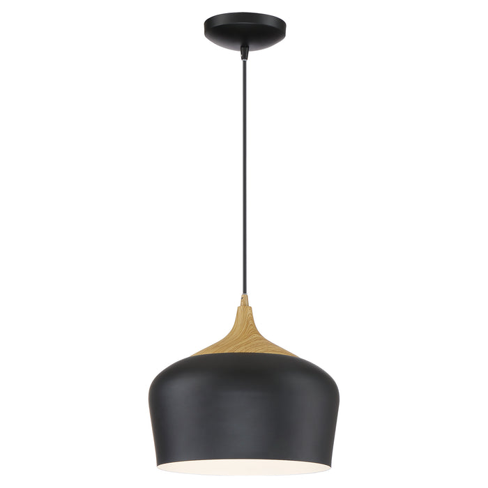 Blend 1 Light Cord Pendant in Black with Wood Grain Finish