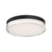Dot LED Flush Mount in Black