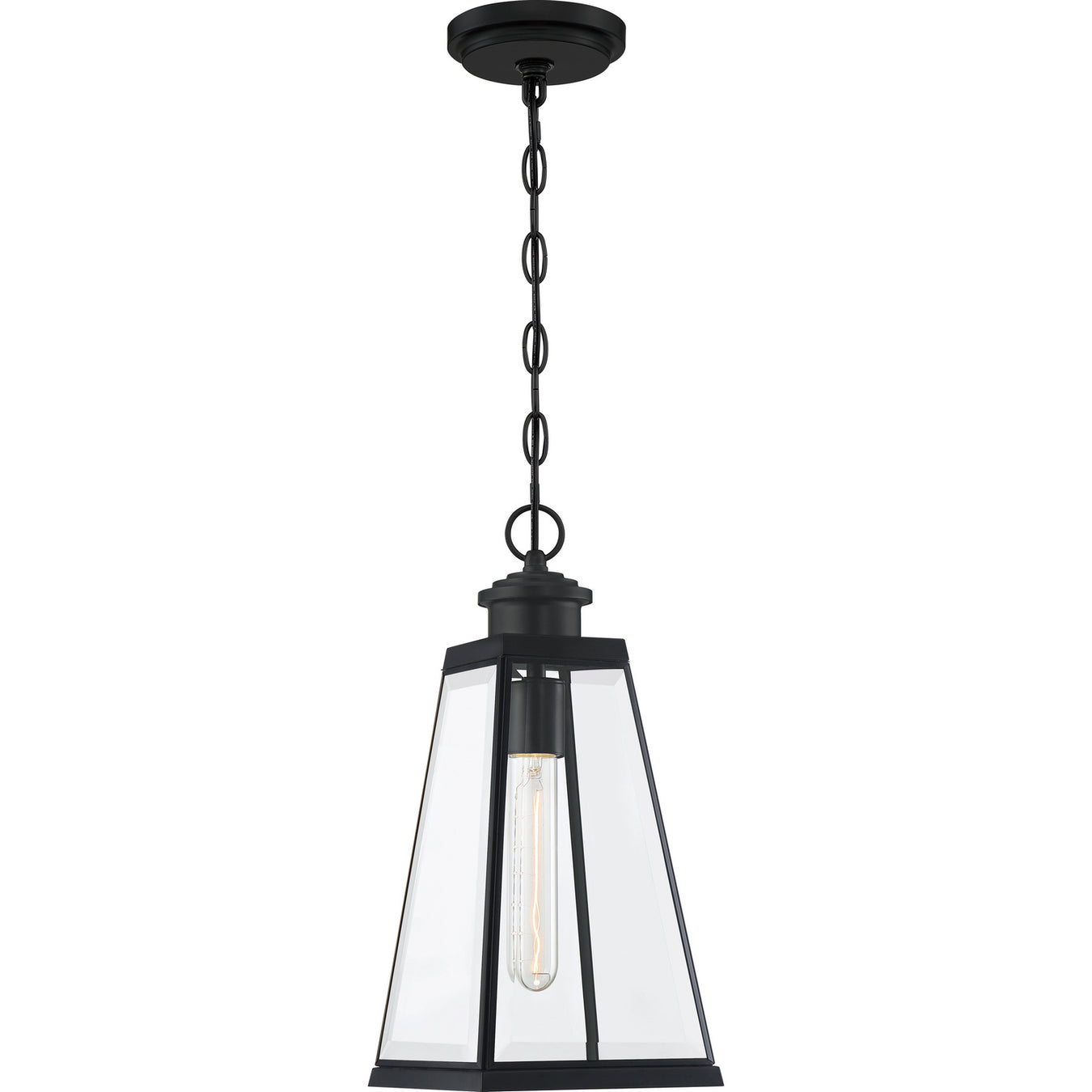 Paxton 1-Light Outdoor Lantern in Matte Black