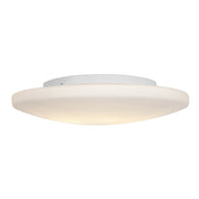 Orion 19" Flush Mount - Lamps Expo