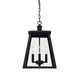 Belmore 4-Light Outdoor Hanging Lantern - Lamps Expo