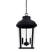 Dunbar 3-Light Outdoor Hanging Lantern - Lamps Expo