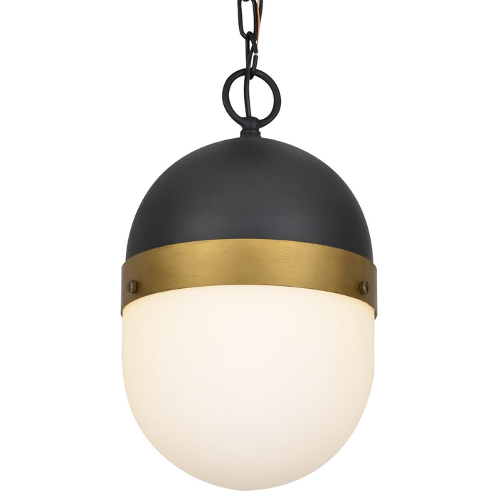 Capsule 1-Light Outdoor Pendant in Matte Black & Textured Gold - Lamps Expo