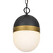 Capsule 1-Light Outdoor Pendant in Matte Black & Textured Gold - Lamps Expo