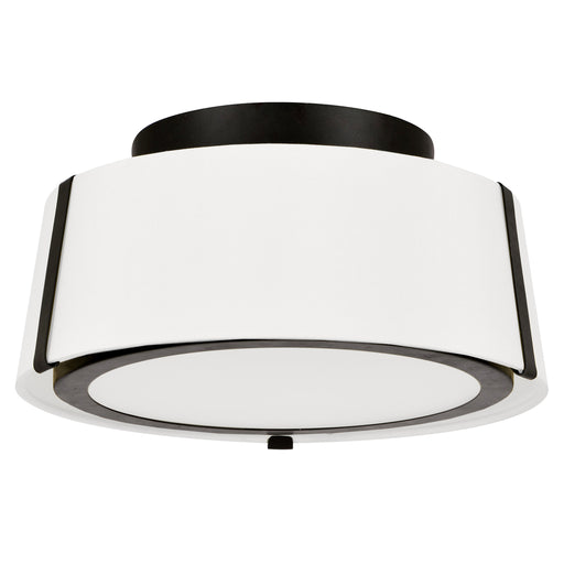 Fulton 2-Light Ceiling Mount - Lamps Expo