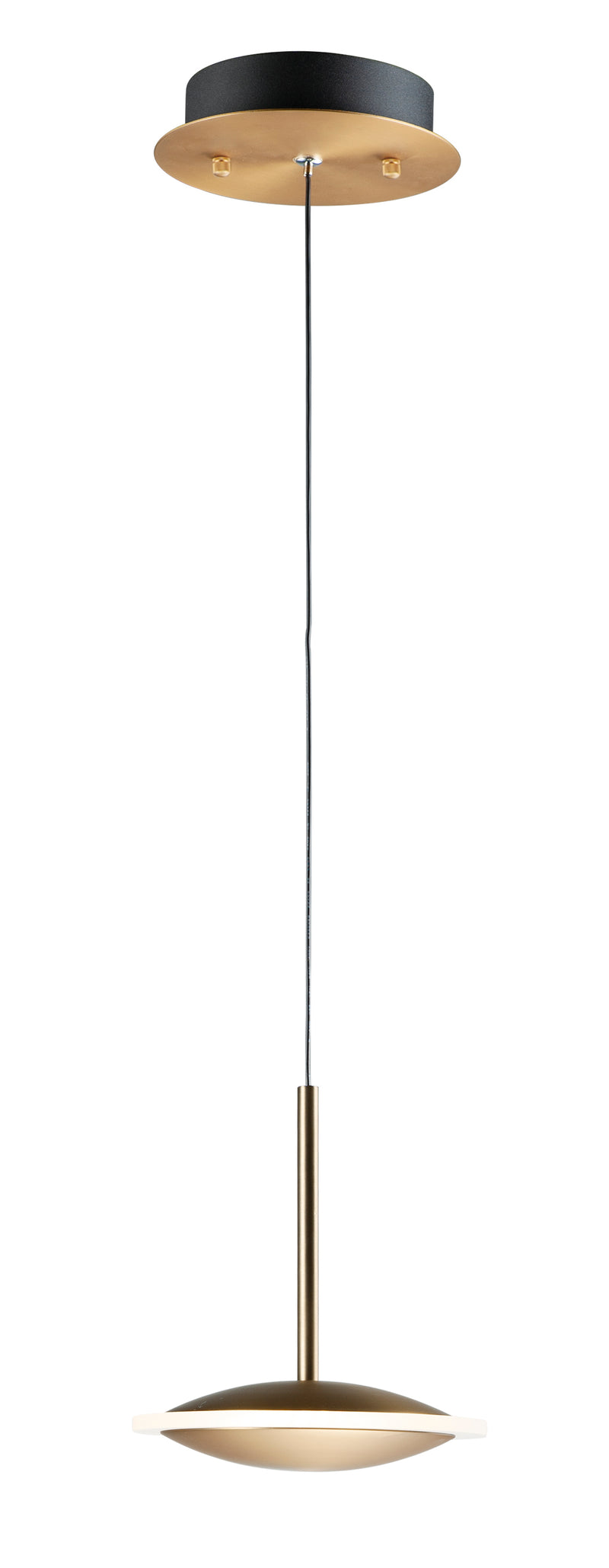 Saucer LED Pendant in Black / Gold