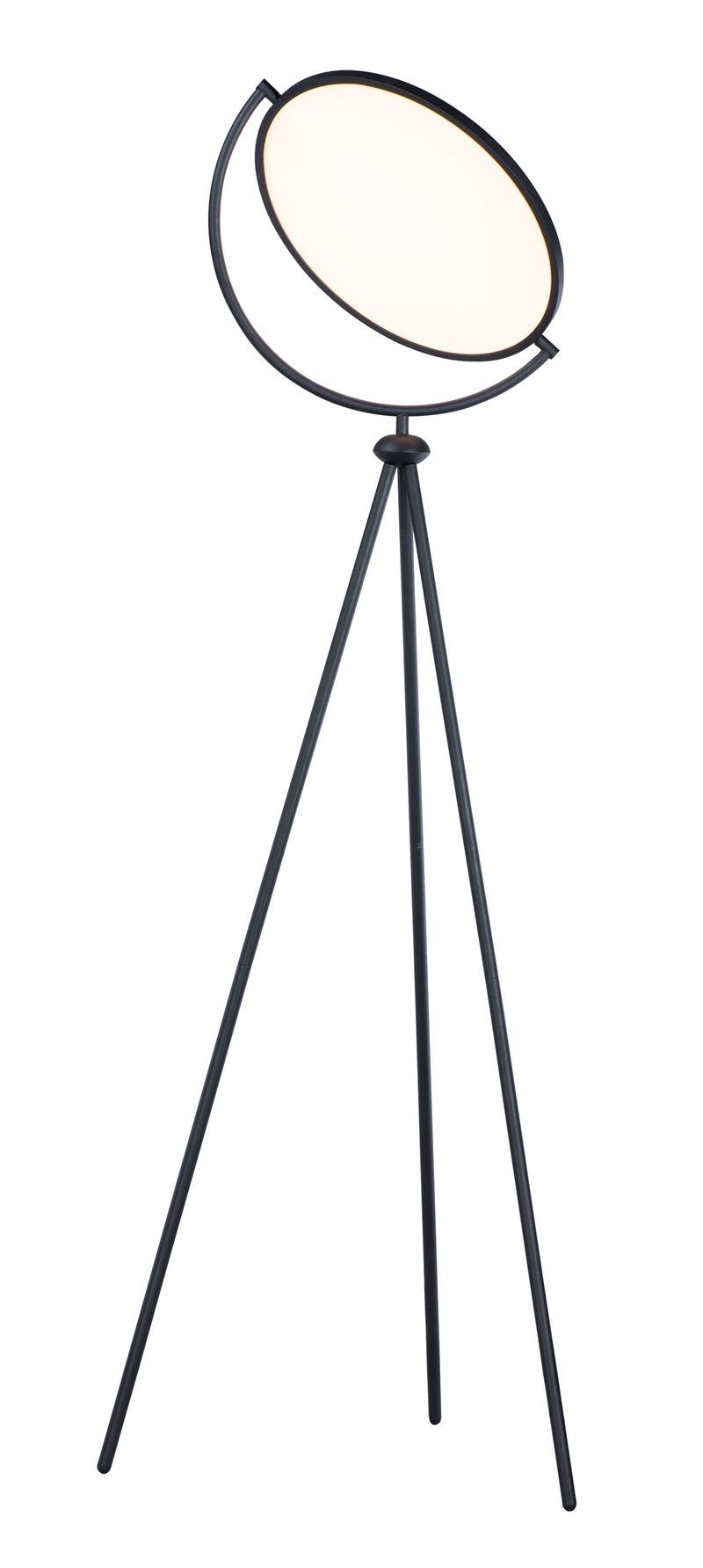 Paddle LED Floor Lamp in Black