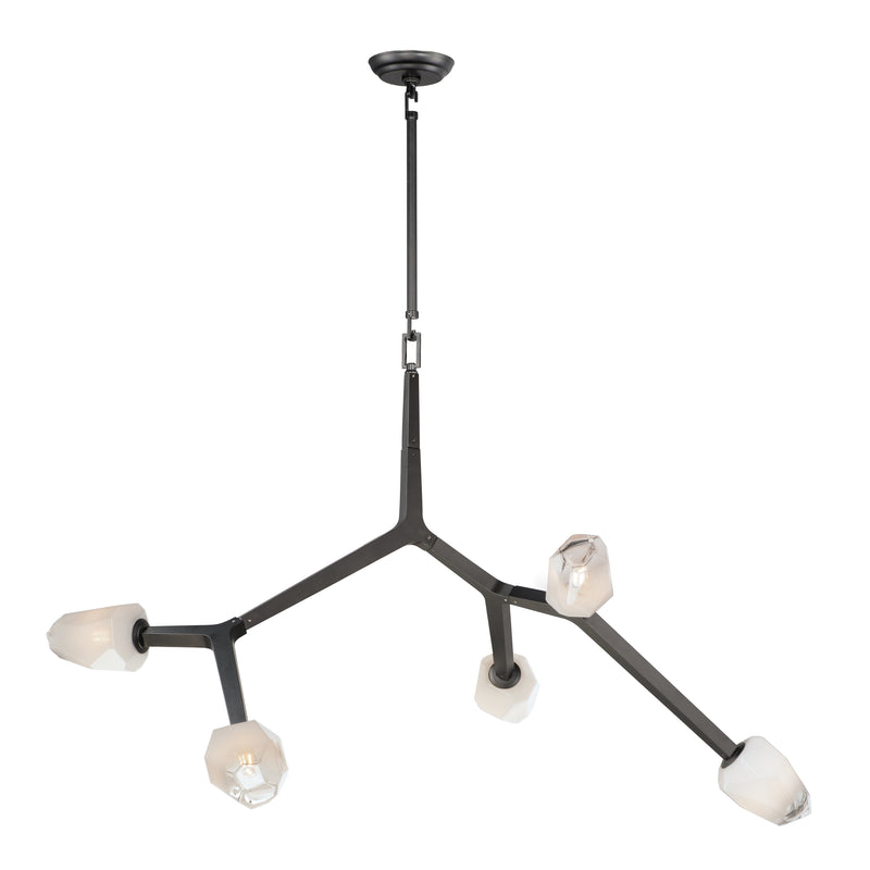 Blossom 5-Light Pendant in Black