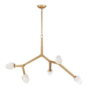 Blossom 5-Light Pendant in Natural Aged Brass