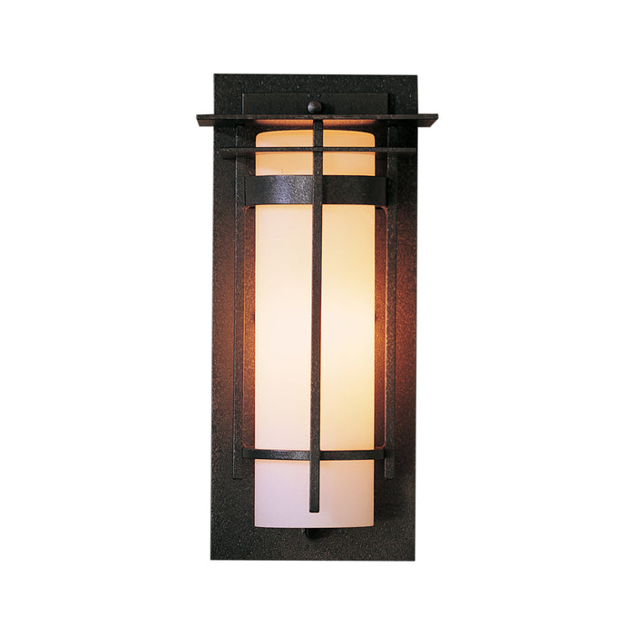 Banded with Top Plate Small Outdoor Sconce in Coastal Natural Iron (20)