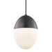 Orion 1-Light Small Pendant - Lamps Expo