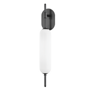 Miley 1-Light Wall Sconce - Lamps Expo