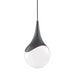 Ariana 1-Light Large Pendant - Lamps Expo