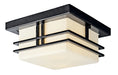 Tremillo Outdoor Ceiling Light 2-Light in Black - Lamps Expo