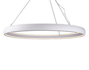 Halo Down Pendant - Lamps Expo